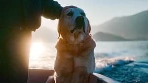 Dogs 1. Sezon 3. Bölüm