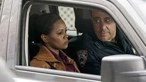 Law & Order: Special Victims Unit 17. Sezon 22. Bölüm