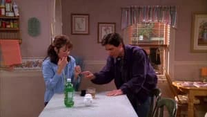 Everybody Loves Raymond 2. Sezon 24. Bölüm
