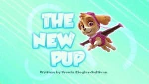 PAW Patrol 2. Sezon 14. Bölüm