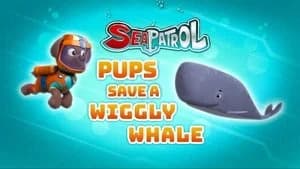 PAW Patrol 5. Sezon 6. Bölüm