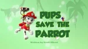 PAW Patrol 2. Sezon 25. Bölüm