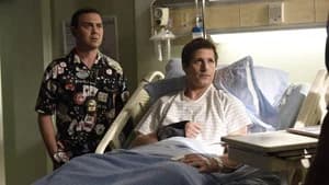 Brooklyn Nine-Nine 2. Sezon 20. Bölüm