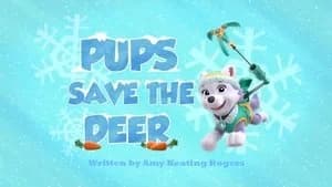 PAW Patrol 2. Sezon 22. Bölüm