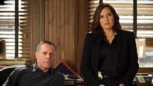 Chicago P.D. 2. Sezon 20. Bölüm