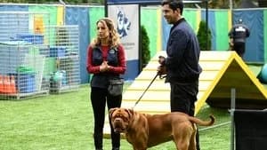 Turner & Hooch 1. Sezon 1. Bölüm