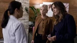 Law & Order: Special Victims Unit 26. Sezon 3. Bölüm