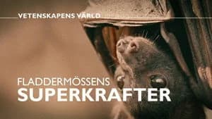 Vetenskapens värld 48. Sezon 2. Bölüm