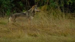 Island of the Sea Wolves 1. Sezon 3. Bölüm