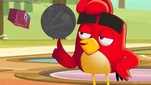 Angry Birds: Summer Madness 1. Sezon 1. Bölüm