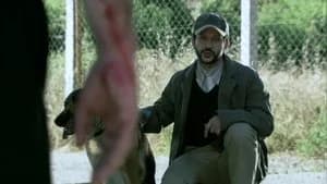Ezel 1. Sezon 30. Bölüm