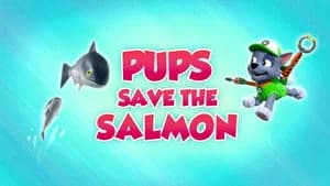PAW Patrol 8. Sezon 17. Bölüm