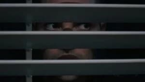 The Woman in the House Across the Street from the Girl in the Window 1. Sezon 5. Bölüm