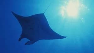The Blue Planet 1. Sezon 3. Bölüm
