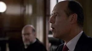 Law & Order 20. Sezon 13. Bölüm