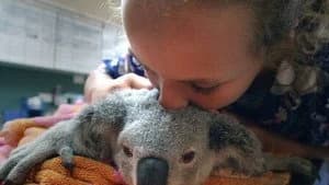 Izzy's Koala World 1. Sezon 4. Bölüm
