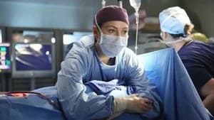 Grey's Anatomy 11. Sezon 15. Bölüm