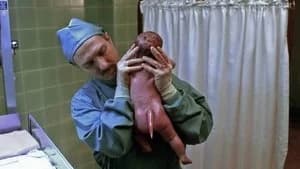 The X-Files 4. Sezon 20. Bölüm