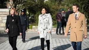 Law & Order: Special Victims Unit 18. Sezon 9. Bölüm