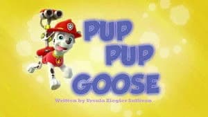 PAW Patrol 1. Sezon 9. Bölüm