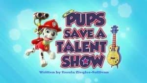 PAW Patrol 2. Sezon 19. Bölüm