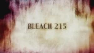 Bleach 1. Sezon 215. Bölüm