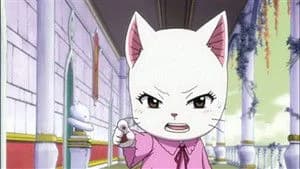 Fairy Tail 2. Sezon 35. Bölüm