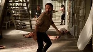 The Walking Dead 4. Sezon 2. Bölüm