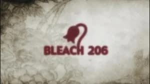Bleach 1. Sezon 206. Bölüm