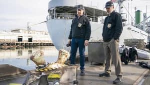 NCIS 20. Sezon 13. Bölüm
