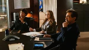 Criminal Minds 11. Sezon 9. Bölüm