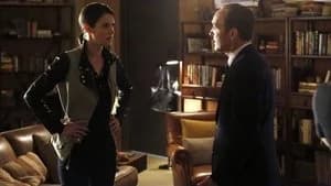 Marvel's Agents of S.H.I.E.L.D. 1. Sezon 20. Bölüm