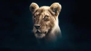 Dynasties 1. Sezon 3. Bölüm