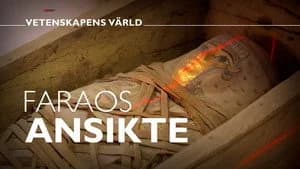 Vetenskapens värld 49. Sezon 12. Bölüm