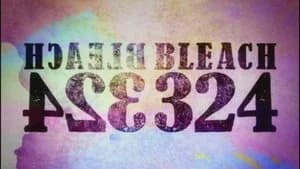Bleach 1. Sezon 324. Bölüm