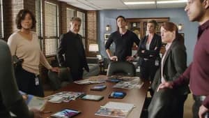 Criminal Minds 13. Sezon 15. Bölüm