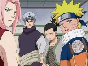 Naruto 1. Sezon 23. Bölüm