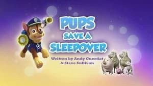 PAW Patrol 4. Sezon 12. Bölüm