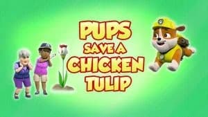 PAW Patrol 8. Sezon 31. Bölüm