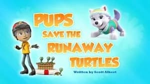 PAW Patrol 4. Sezon 37. Bölüm