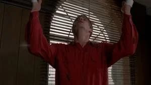 The X-Files 1. Sezon 18. Bölüm
