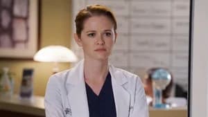 Grey's Anatomy 12. Sezon 19. Bölüm