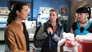 NCIS 10. Sezon 8. Bölüm