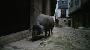 Omnivore 1. Sezon 5. Bölüm