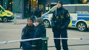 Tunna blå linjen 3. Sezon 6. Bölüm