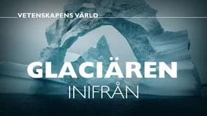 Vetenskapens värld 48. Sezon 32. Bölüm
