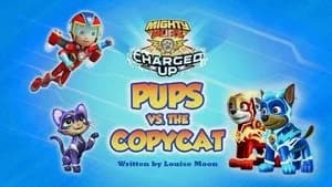 PAW Patrol 6. Sezon 39. Bölüm