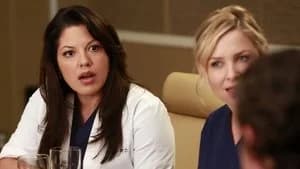 Grey's Anatomy 9. Sezon 17. Bölüm