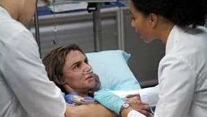Grey's Anatomy 13. Sezon 14. Bölüm