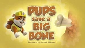 PAW Patrol 2. Sezon 39. Bölüm